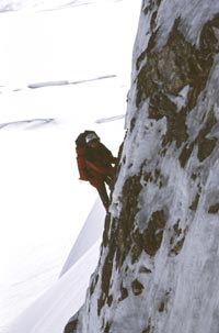 �� ����� - ���� ������������