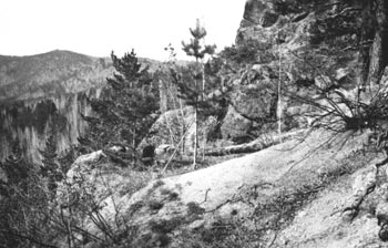 1957-26-YI: ������������ ������ ���������� � �������. ��� ������� ������ �� ��������. ������� ���������. ������� ���� ����� � �������� ���� ��������, � ������ ���� � ��� � �������.
��� � �������
