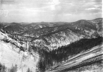 ����� ��������.
1909 �.
