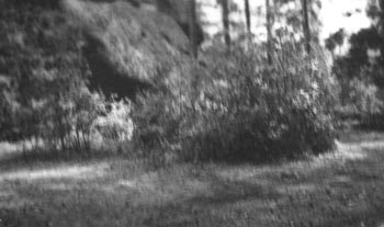 1956.


