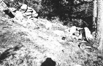 1956.


