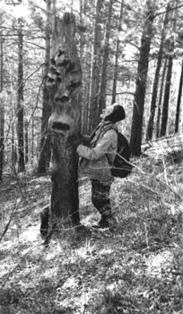 � �������. 21 ������ 1958